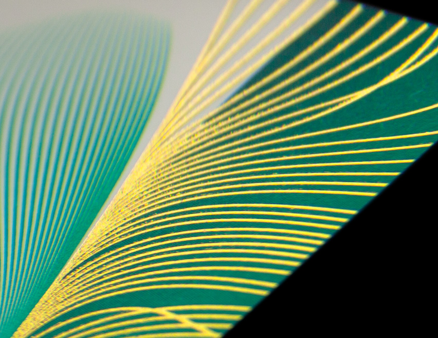 IMG_7576_852px_4columns