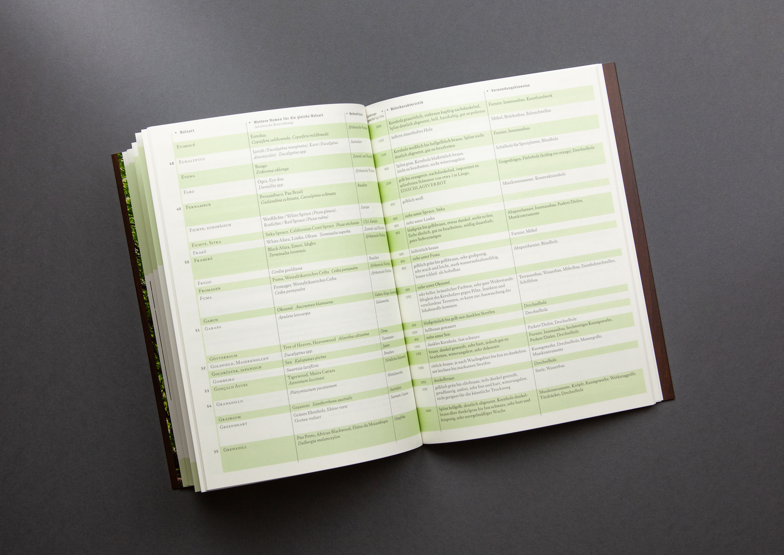 IMG_3233_DTP_cut_2556px_12col