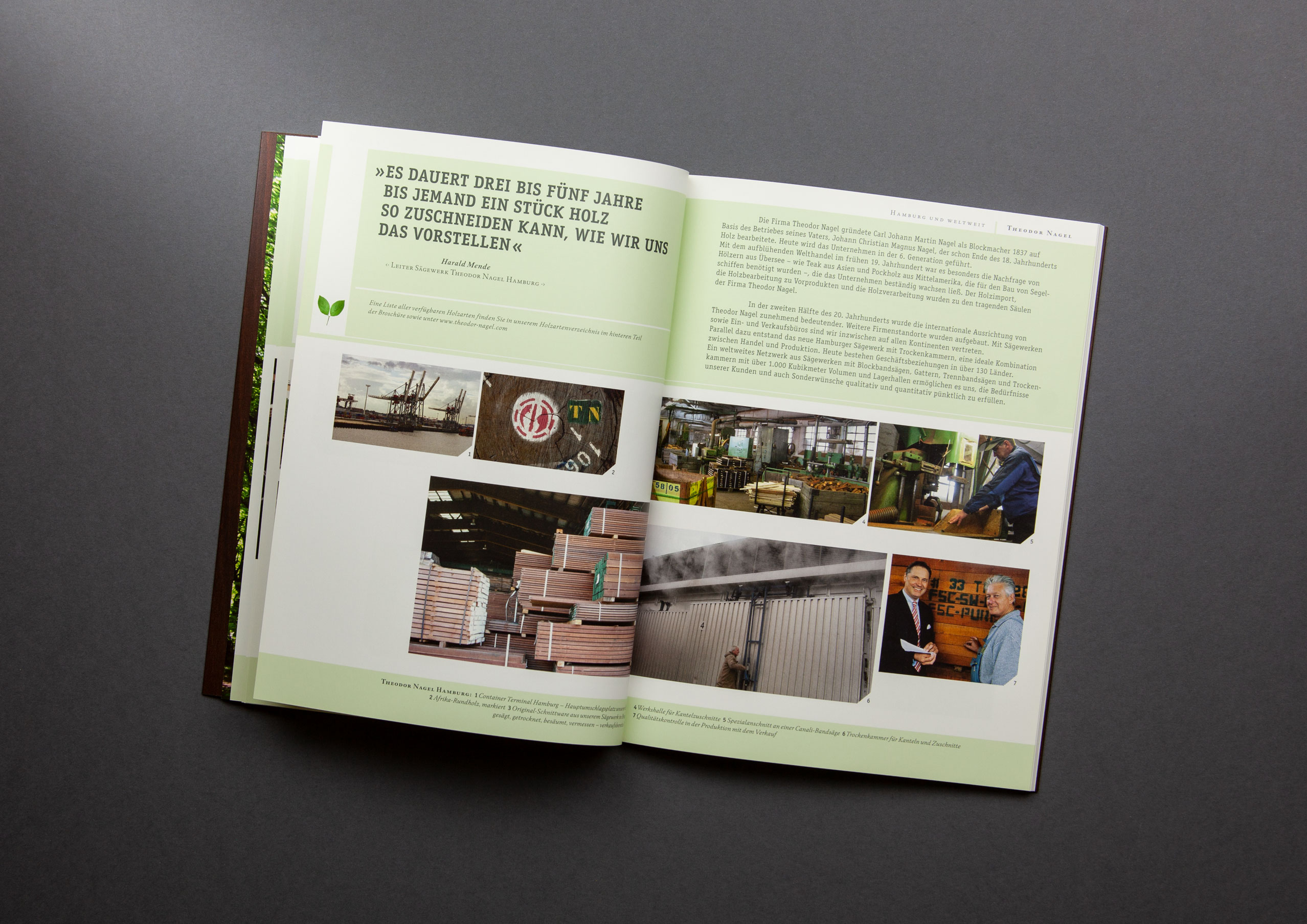 IMG_3234_DTP_cut_2556px_12col