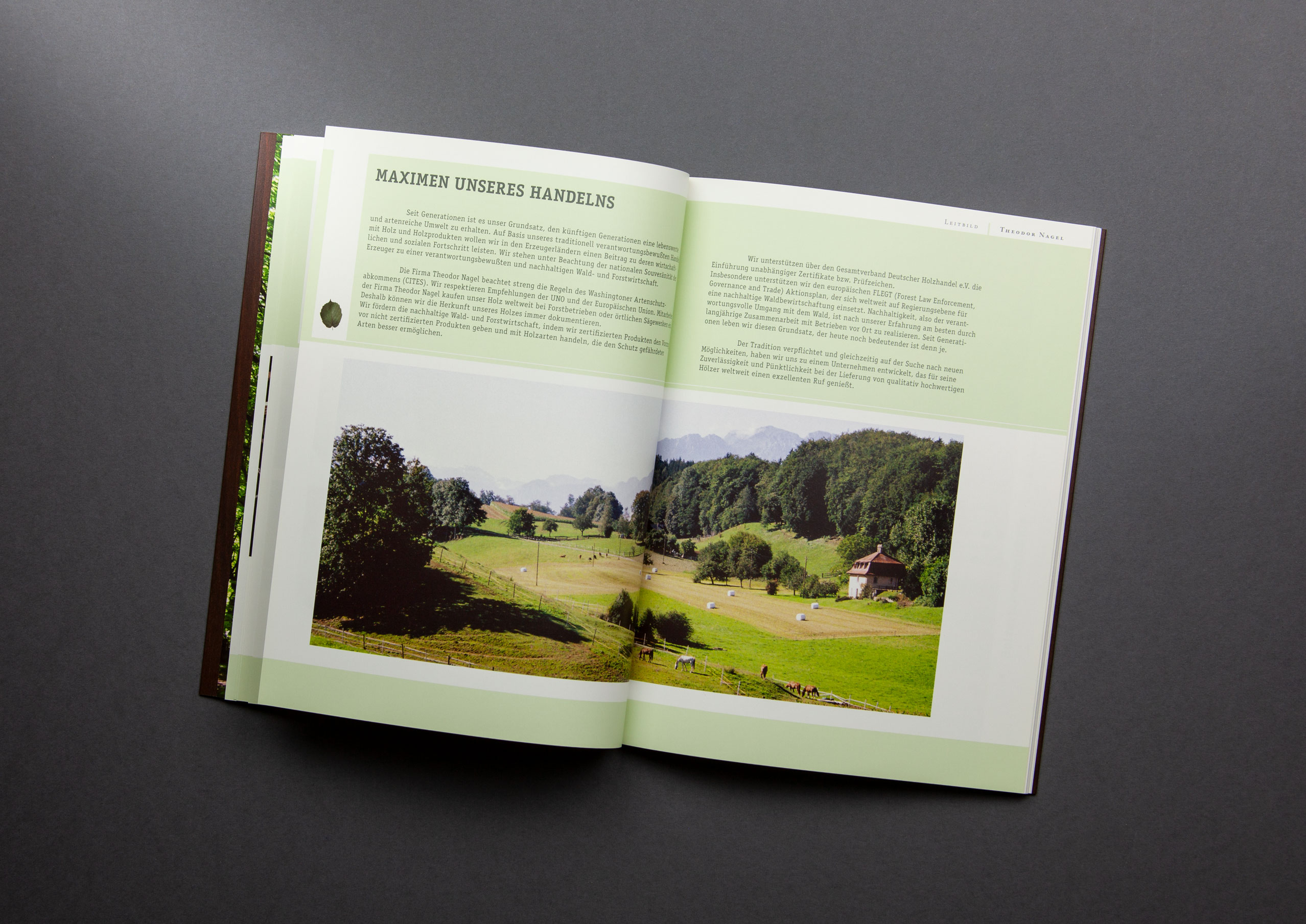 IMG_3239_DTP_cut_2556px_12col