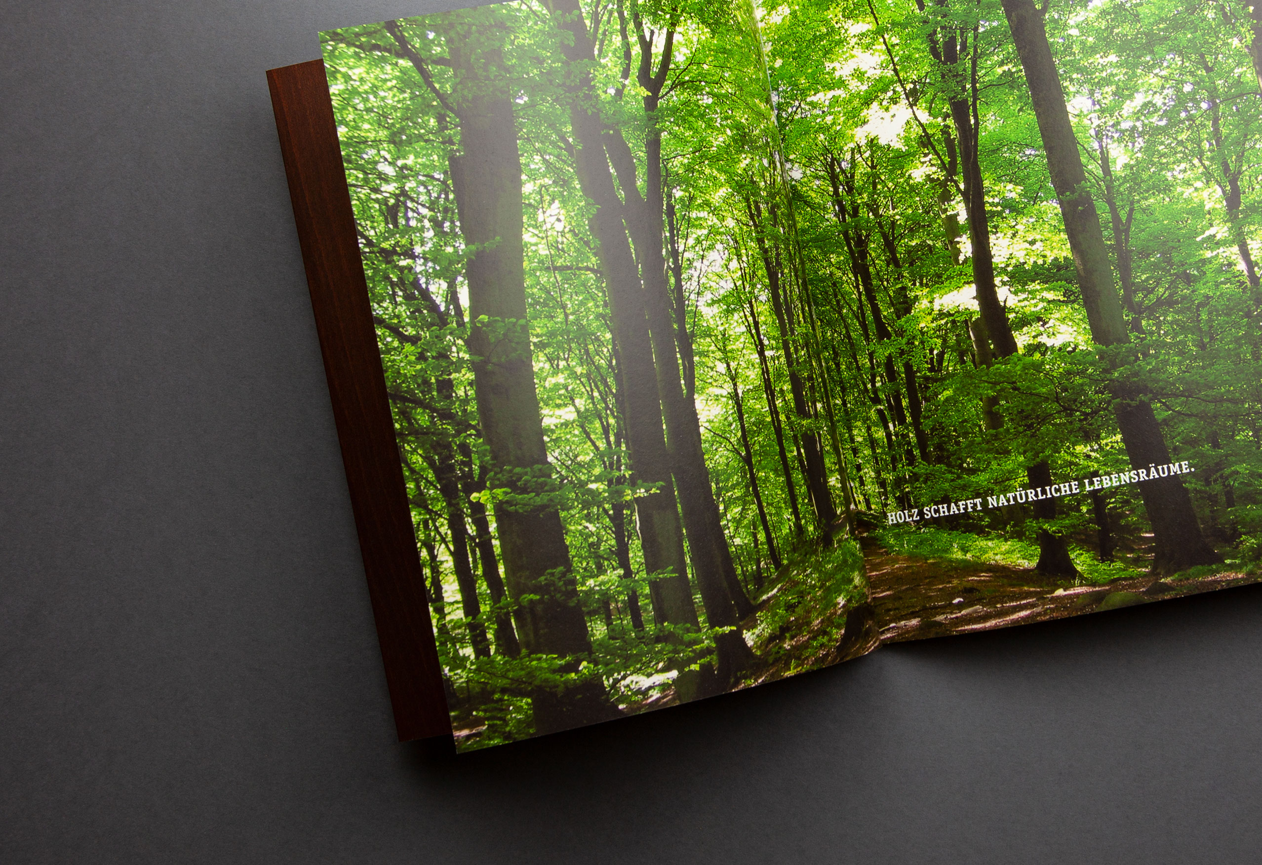 IMG_3257_cut_2556px_12columns