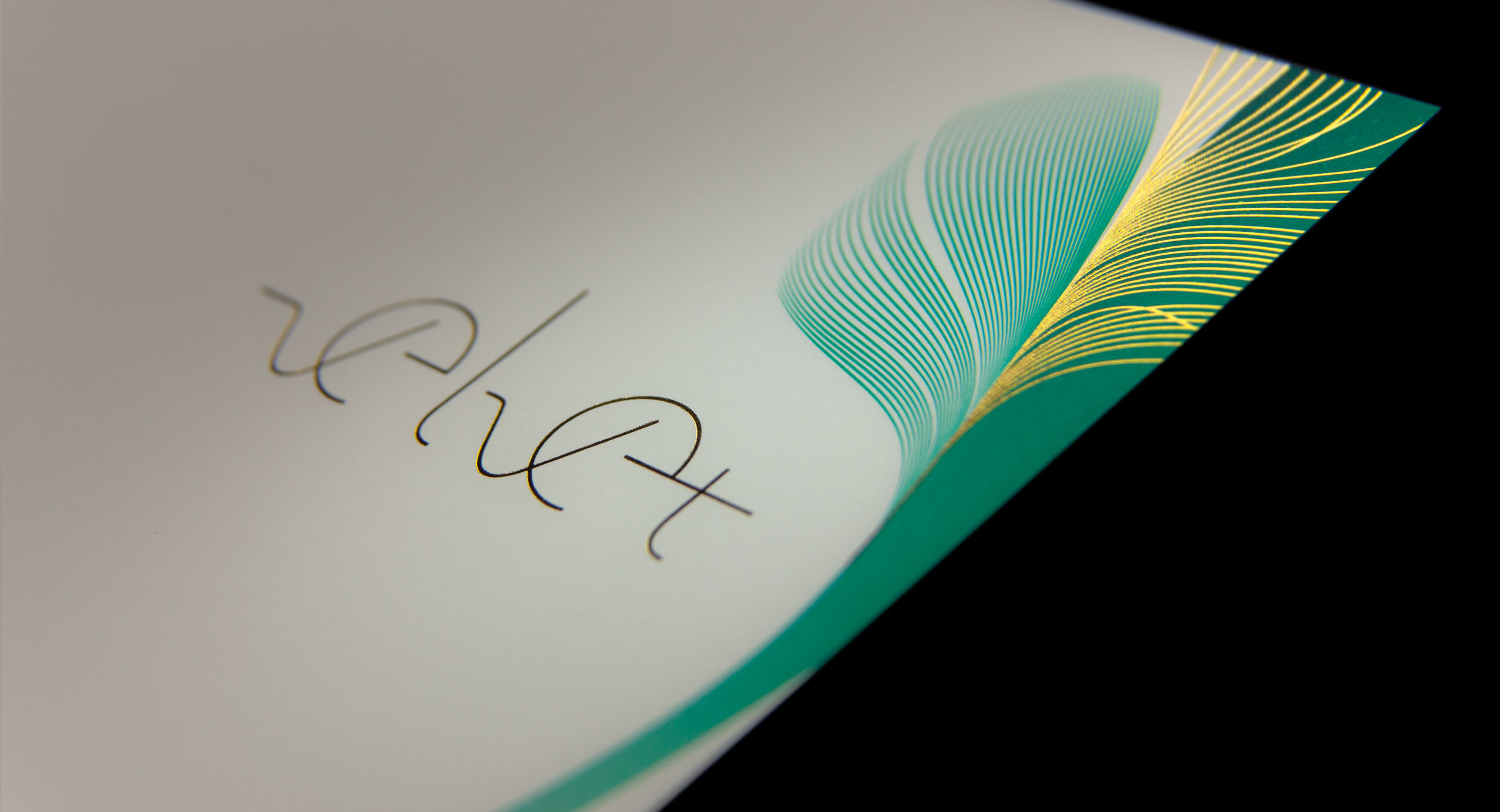 IMG_7576_DTP_cut_2556px_12columns