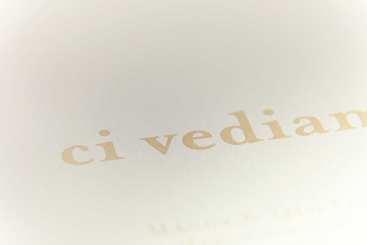 IMG_7897_1278px_6col